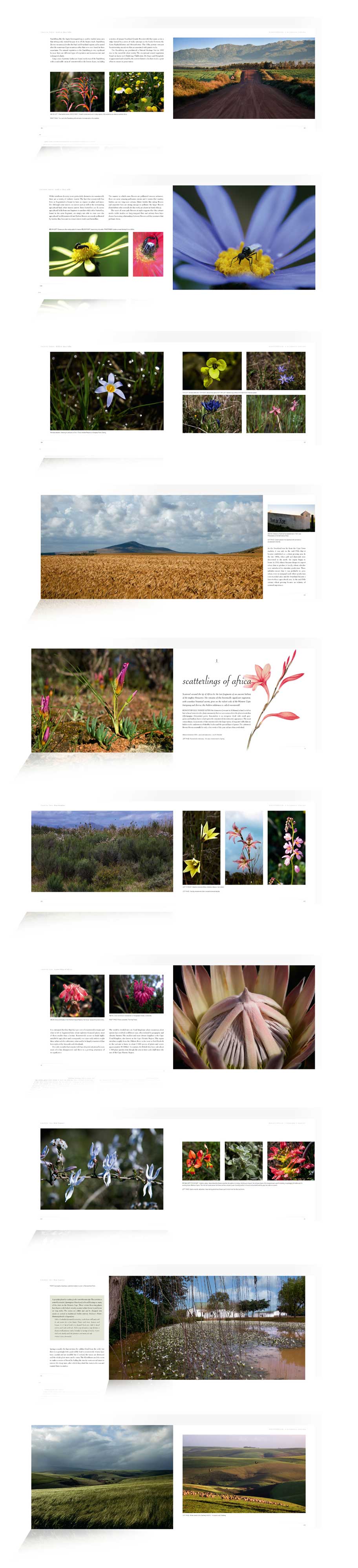 RENOSTERVELD a wilderness exposed by Ruth Parker & Brita Lomba